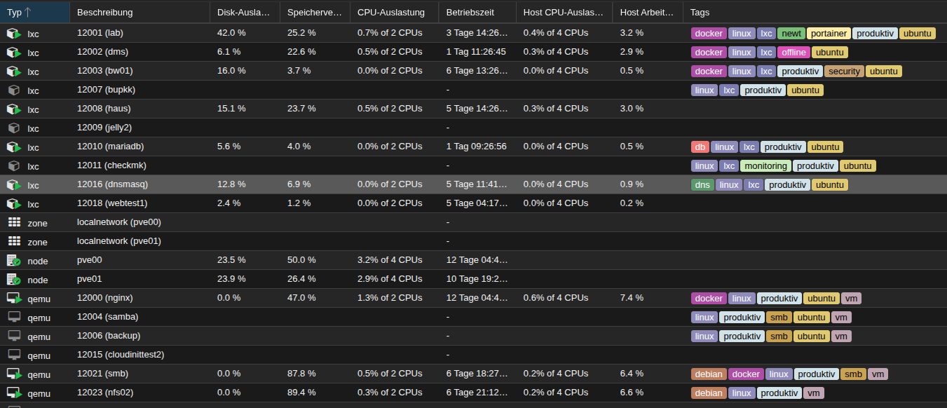 Screenshot: Liste virtueller Server